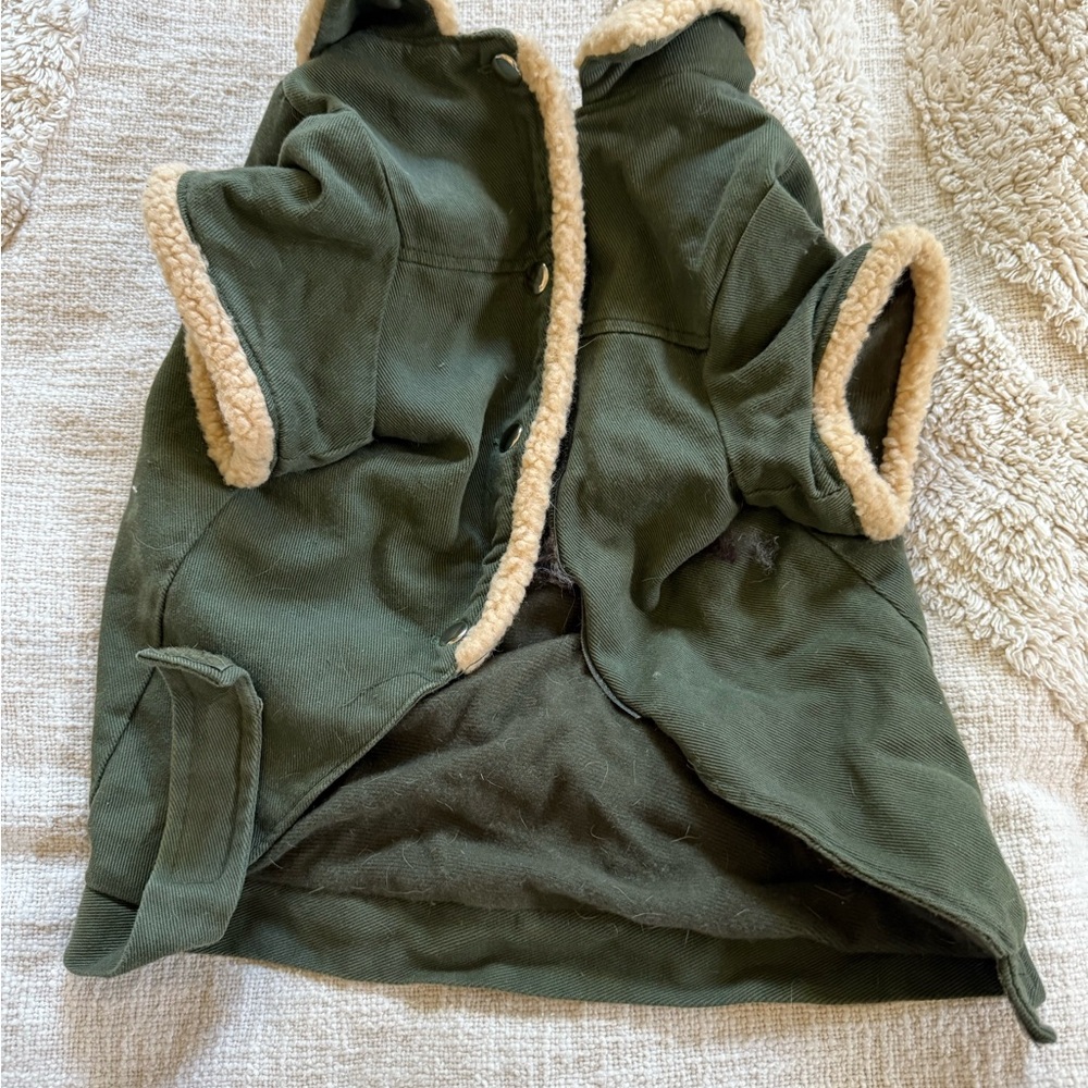 Cozy Green Dog Coat with Cream Trim